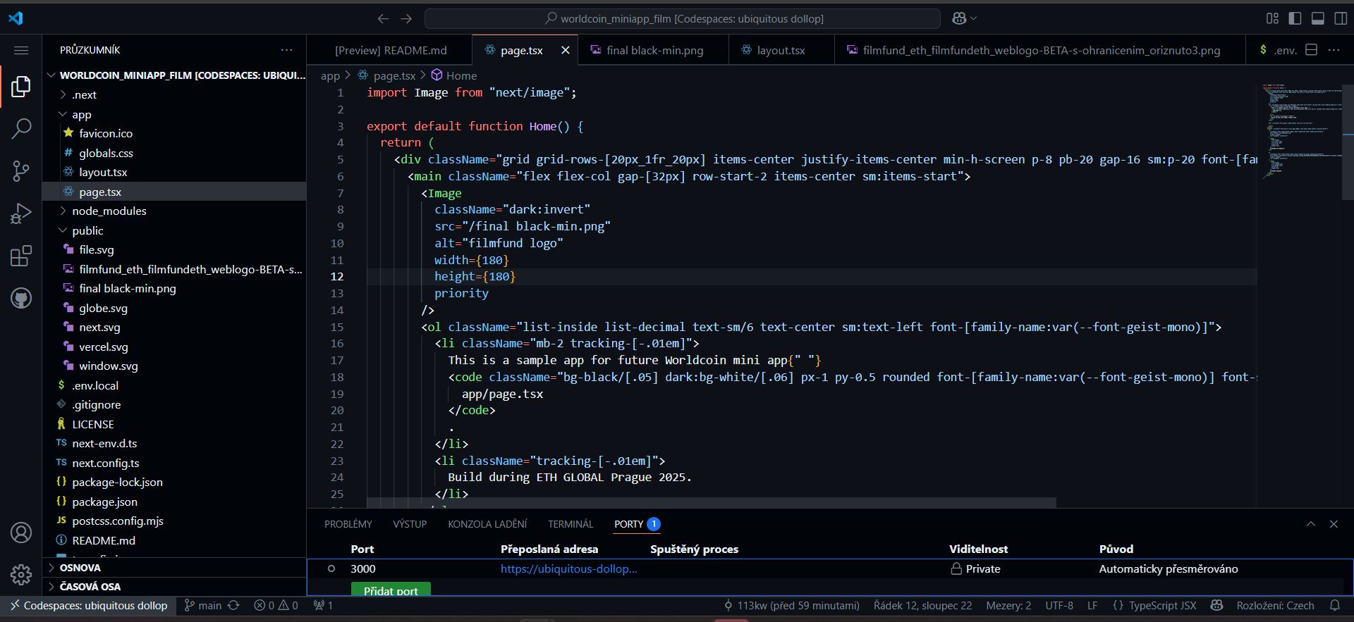 project screenshot 2