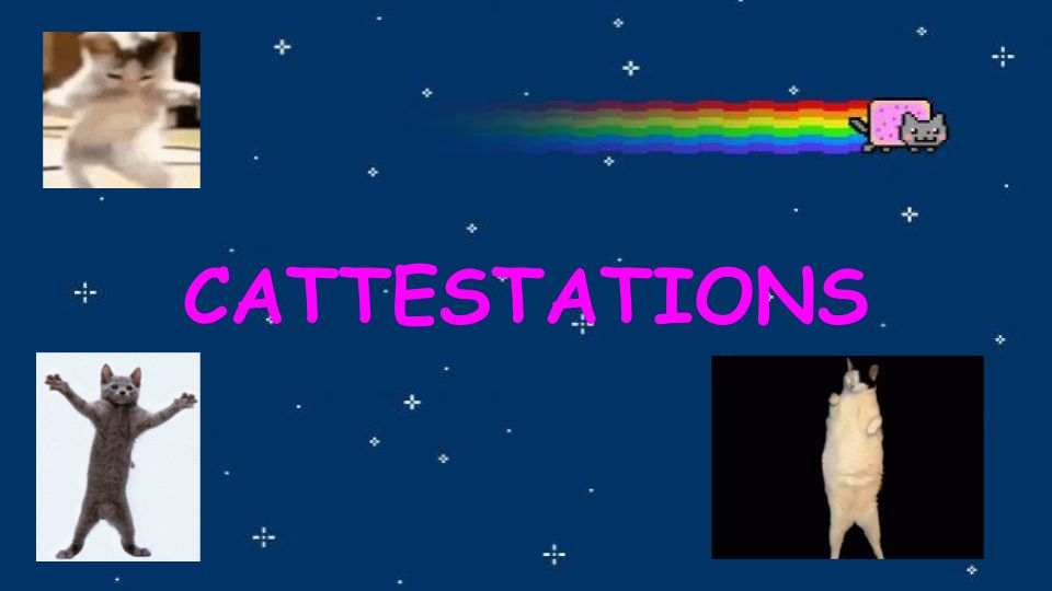 Cattestation banner