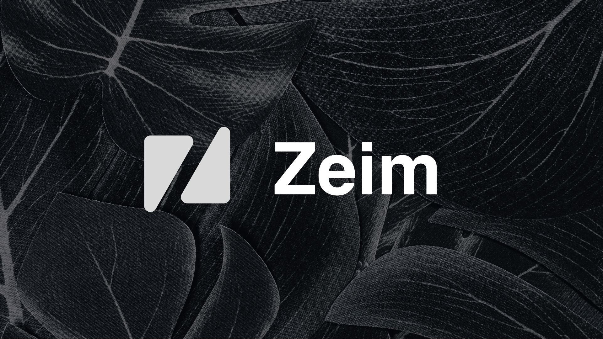 zeim banner