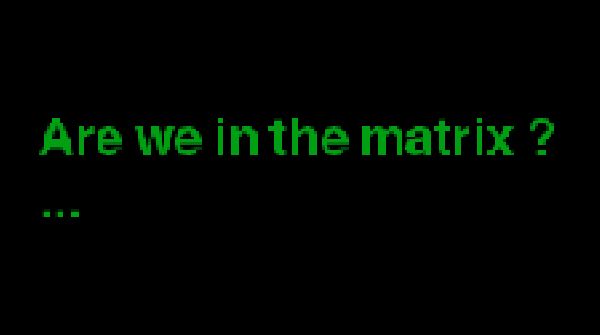 Are we in the matrix ? banner