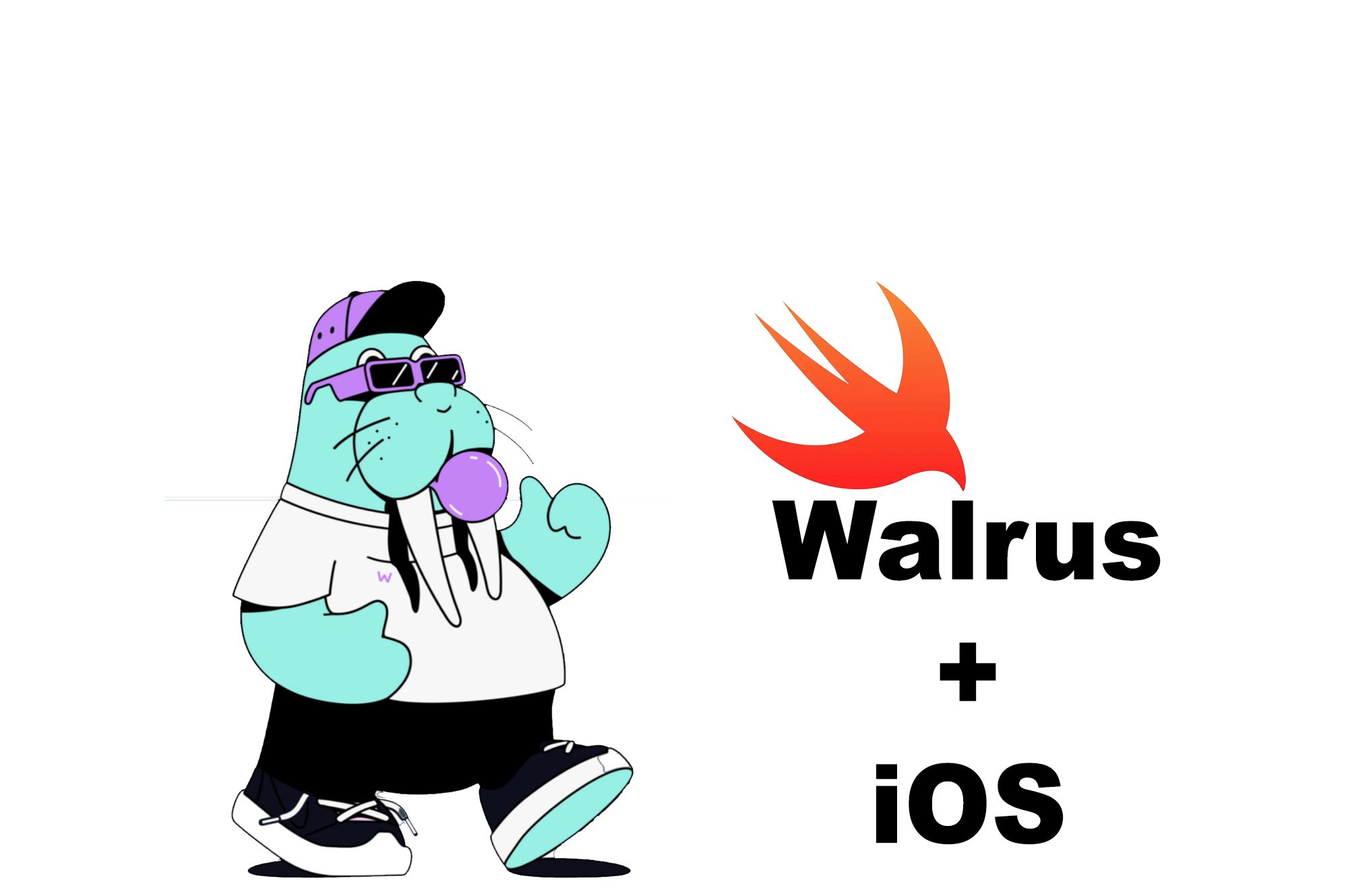 WalrusSDK for iOS banner