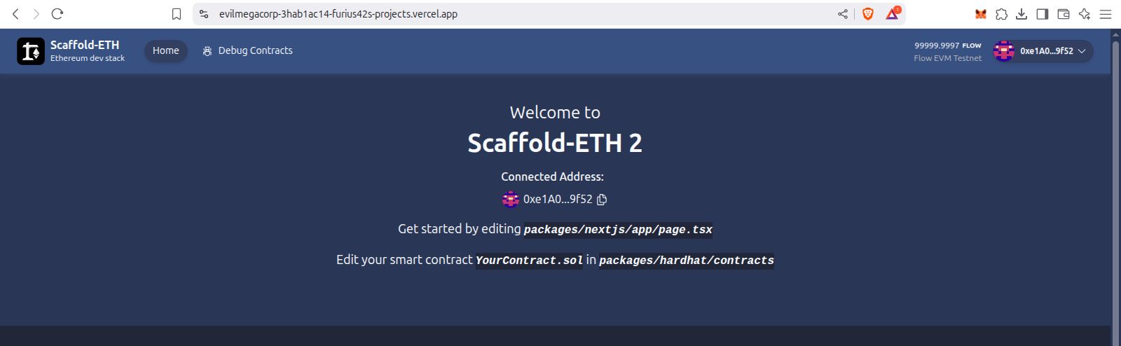 project screenshot 3