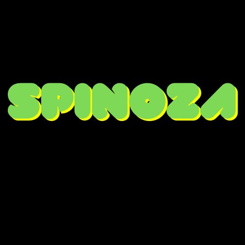 Spinoza banner