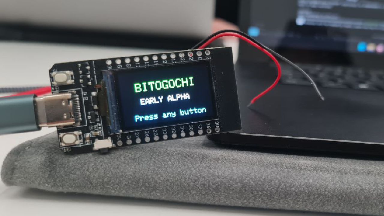 :bitogochi banner