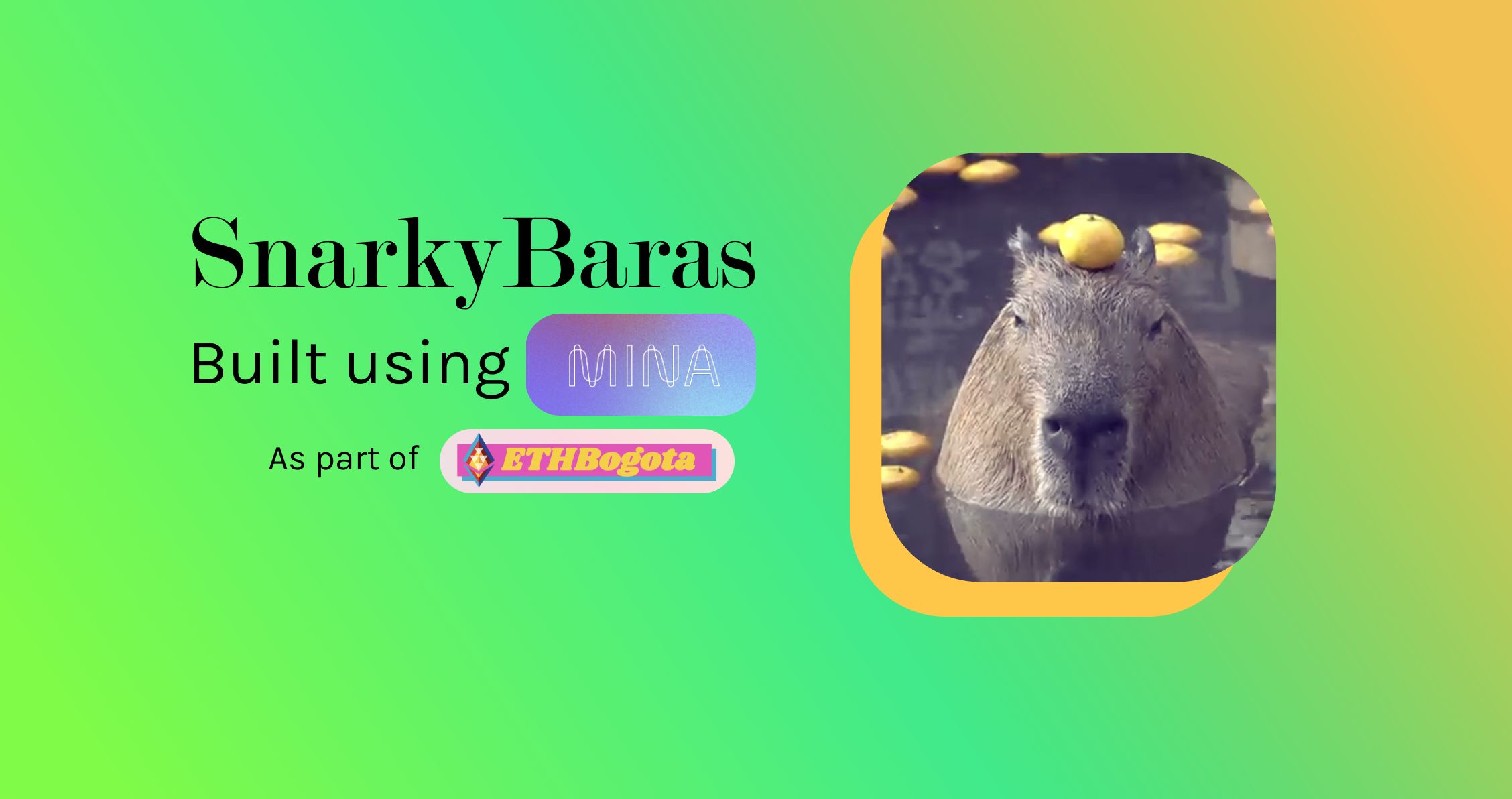 SnarkyBaras banner