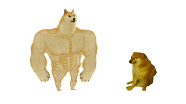 Doge x Cheems banner