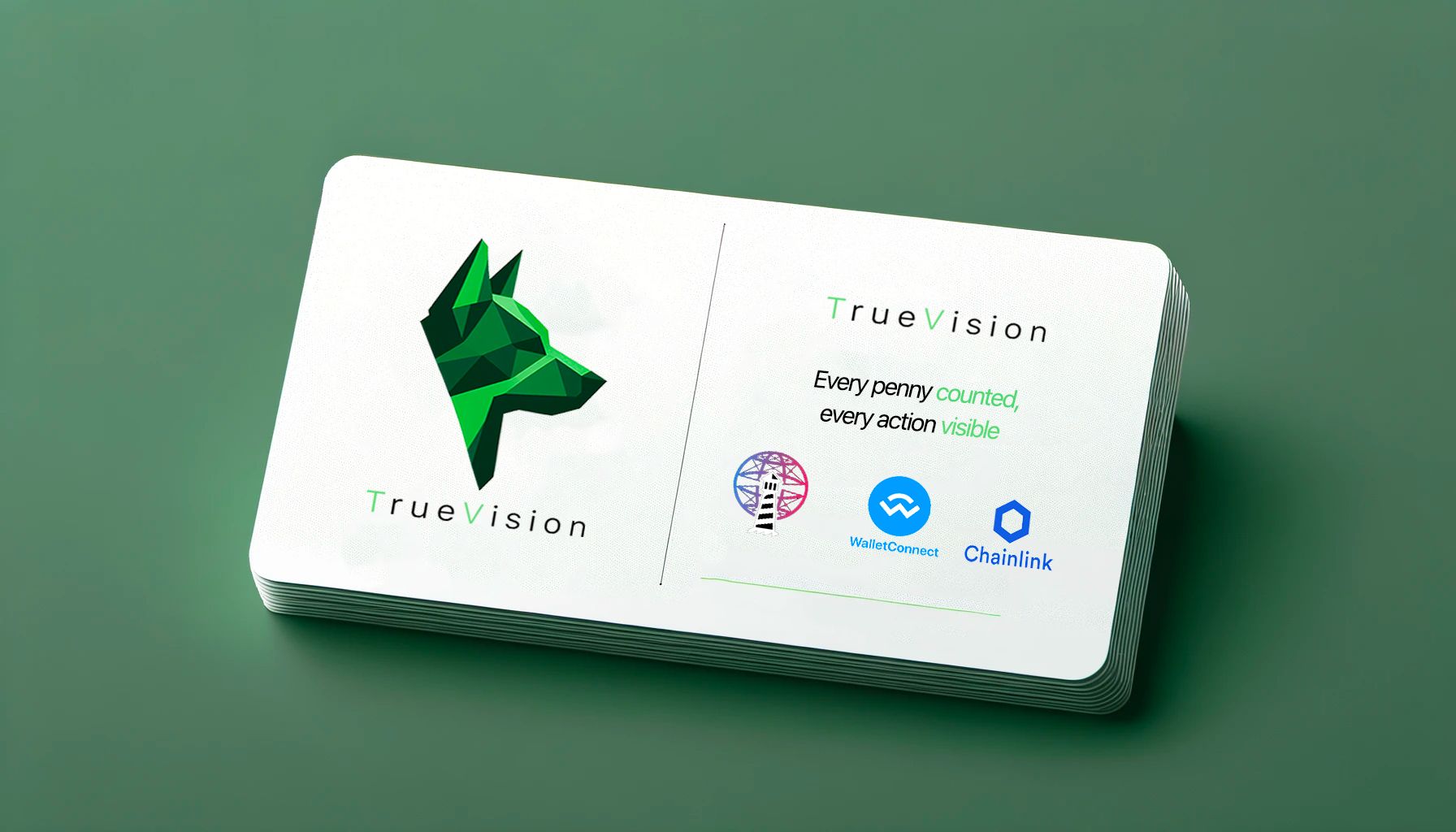 TrueVision banner