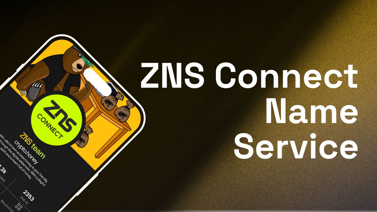 ZNS Connect banner