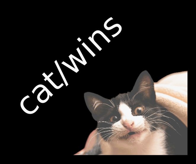 Cat/Wins banner