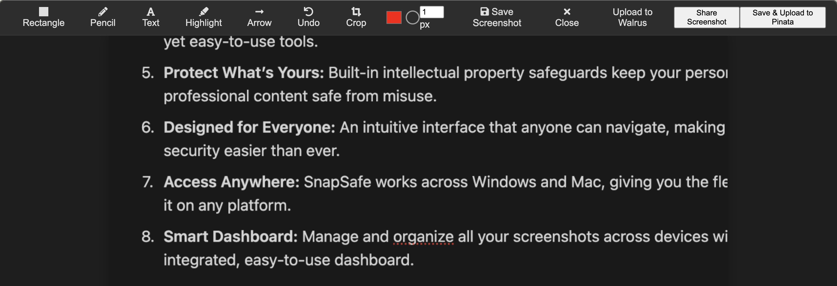 SnapSafe banner