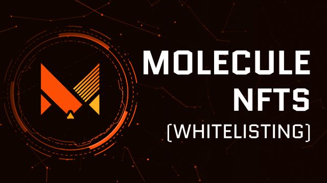 Molecule NFT WhiteListing(NFT-Gating) banner