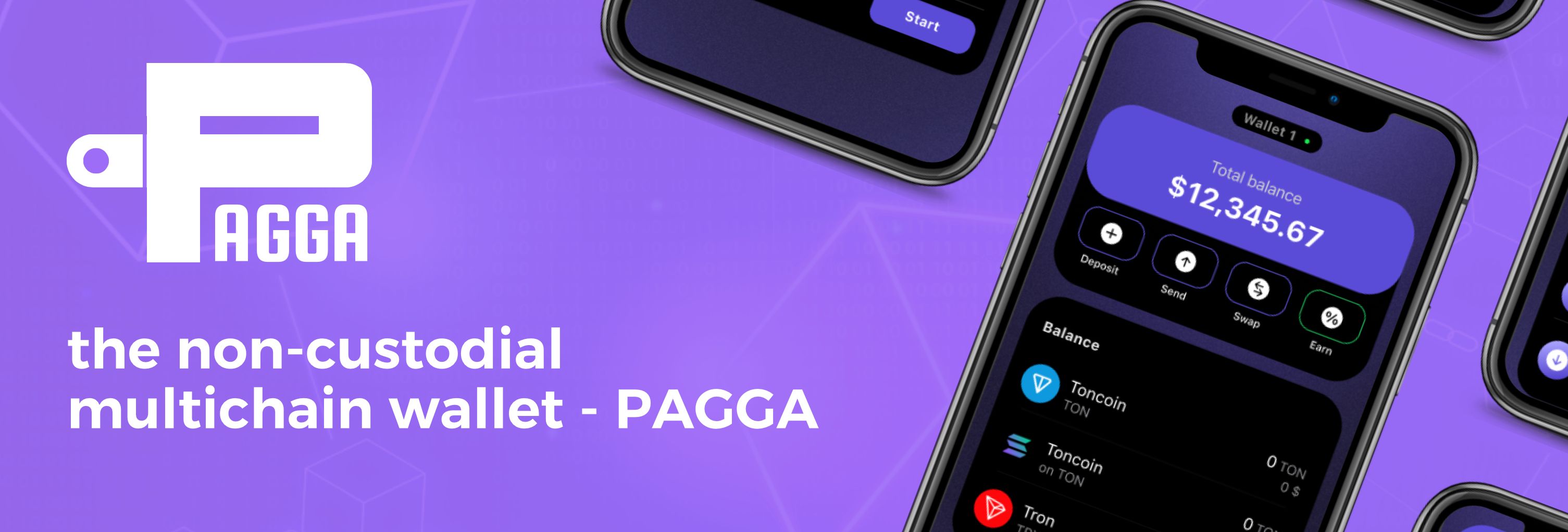 Pagga wallet banner