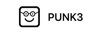 Punk3 banner