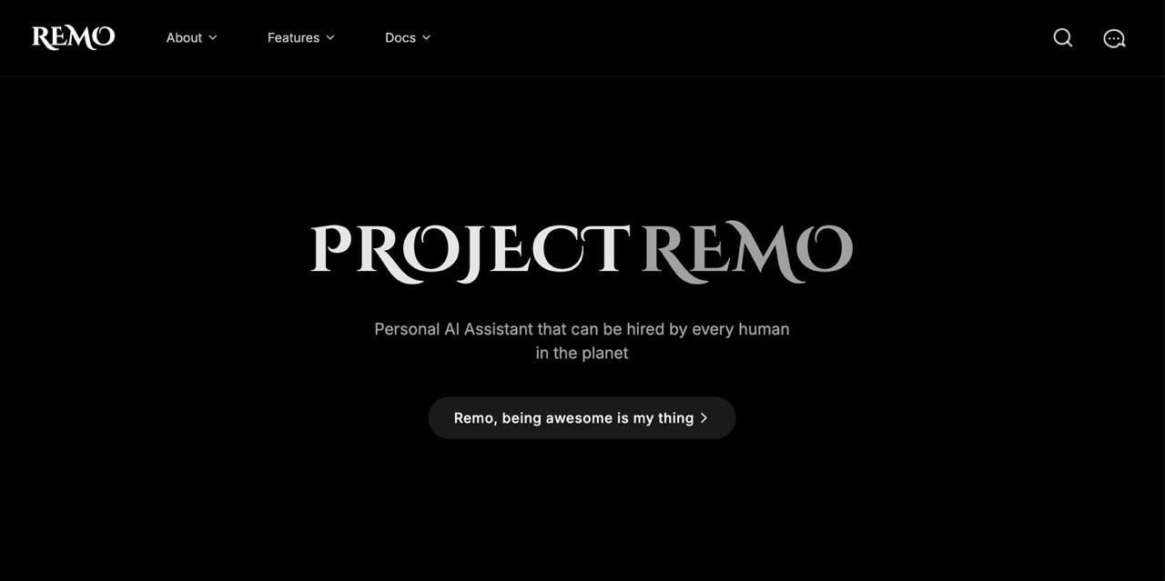 Remo banner