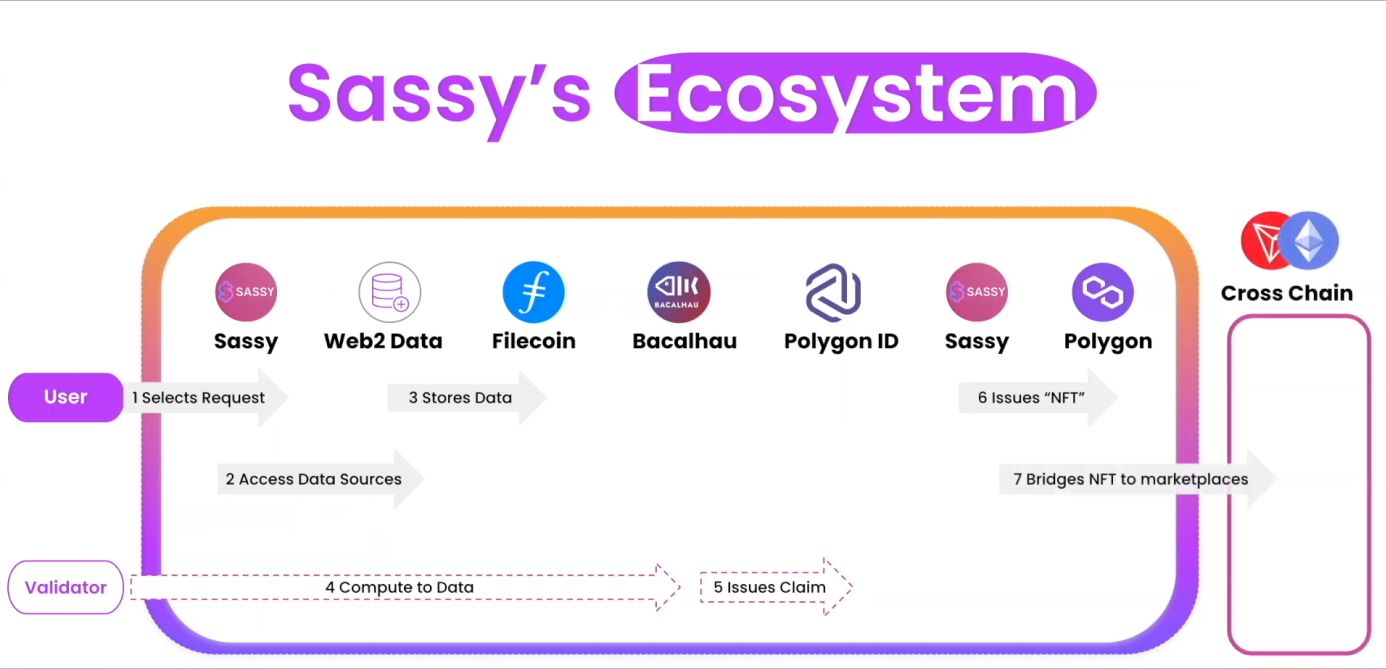 Sassy - ZK Data NFTs banner