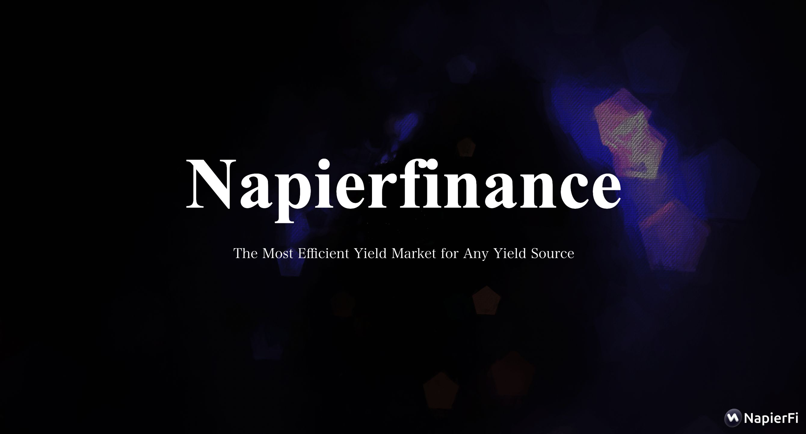 Napier Finance banner