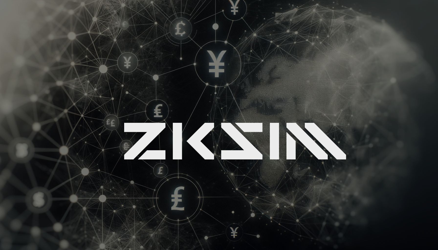 ZKSim banner