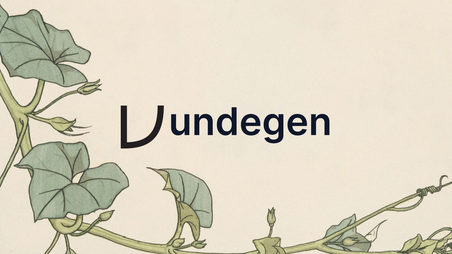 undegen finance banner