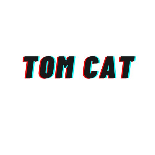 🐱 tomcat banner