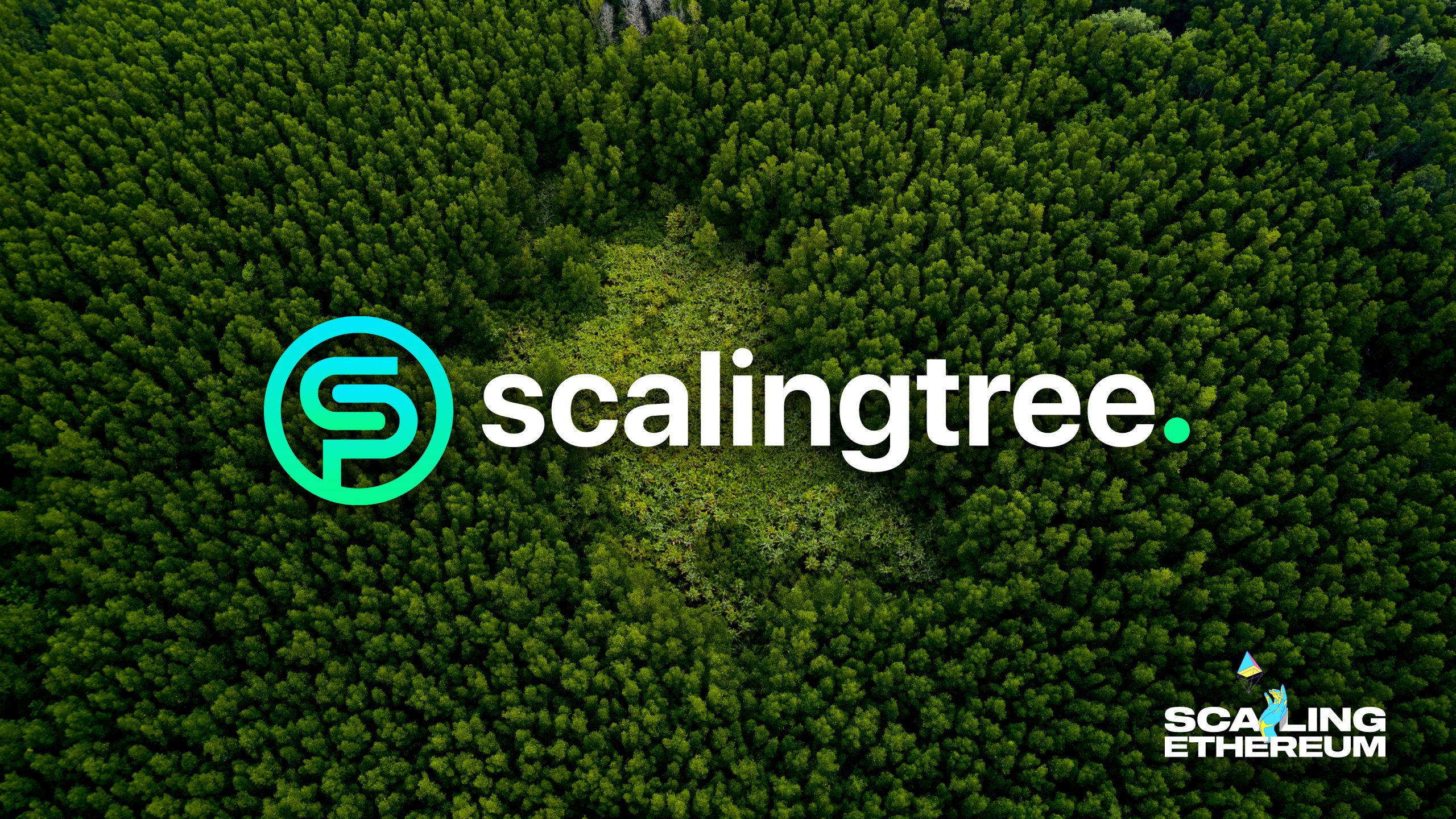 ScalingTree banner